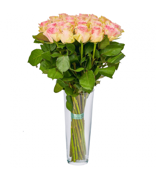 Heleroosad roosid: 50cm (min kogus 20tk)