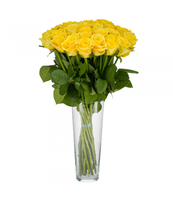 Kollased roosid: 50-60cm (min kogus 15tk)