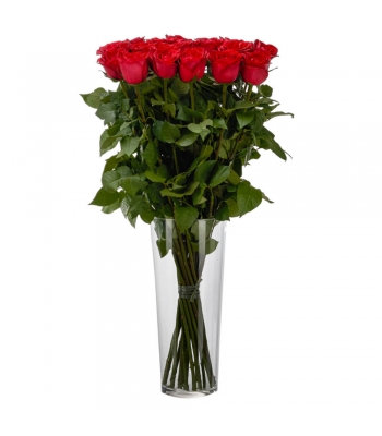 Punased/valged roosid: 70cm (min kogus 15tk)