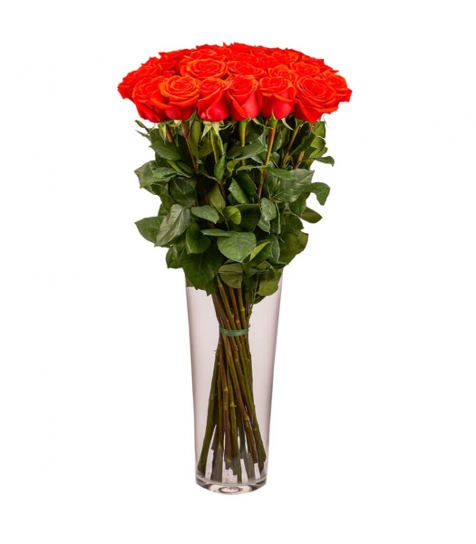 Punased roosid: 70-80cm (min kogus 15tk)