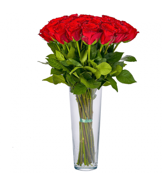 Punased roosid: 50cm (min kogus 15tk)