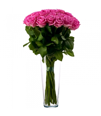 Roosad roosid: 50-60cm (mis kogus 15tk)
